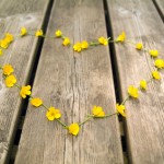 iStock_000009438723_ExtraSmall