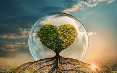 May Provides Opportunities for Growth and Socializing